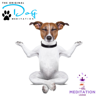 Dog Meditation Audiobook