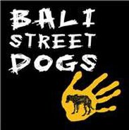 Bali Street Dogs
